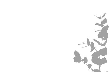 Naklejka premium Minimalist white background template with delicate floral branch and butterfly corner border