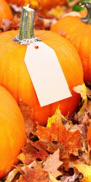 Autumn pumpkins with blank tag among fallen leaves