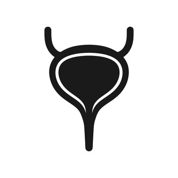 Urinary Bladder Icon