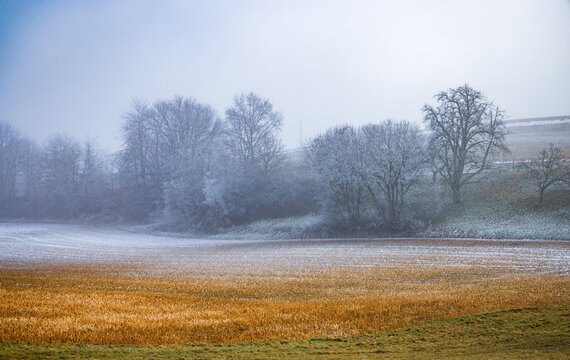 Cold Winter Landscape With Frosted Trees And Misty Field
