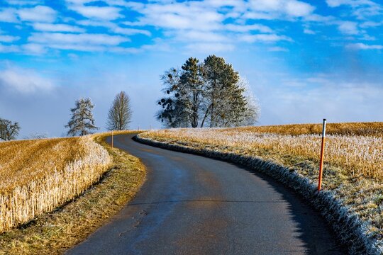 Winding country road through frosty fields under blue sky