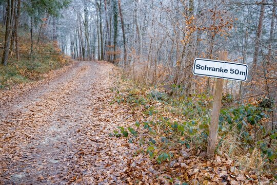 A forest path with a sign in autumn season
