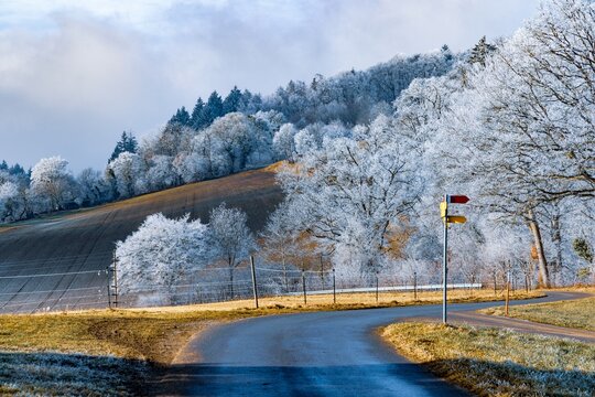 Winding country road through a frosty winter landscape