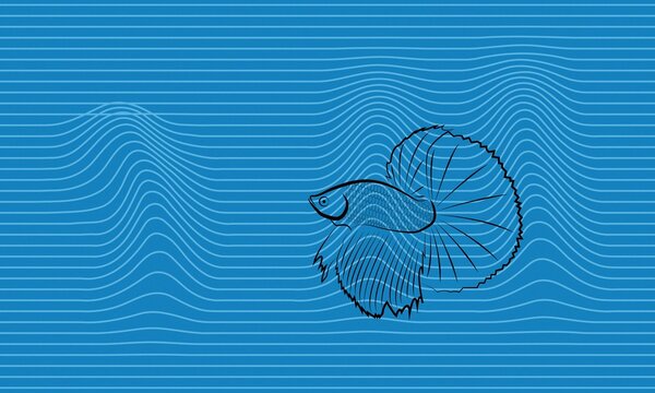 Abstract blue background with waves and Betta fish
