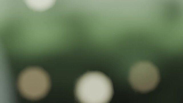 Forming from light drizzle, water droplets gathering and running on window with twig, green bokeh