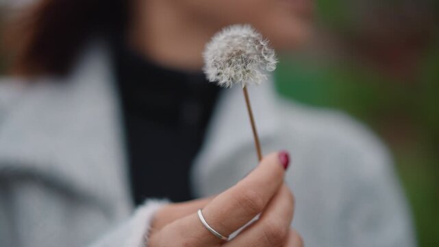 Hand gently holds intact dandelion seed head between fingertips with slight forward tilt, capturing delicate moment before seeds disperse, set against blurred green outdoor background and soft light