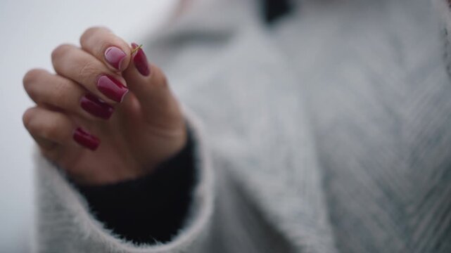 Tight close-up shows hands gently clasping, adjusting fingers, and handling small object, with dark red manicure, rings, and fuzzy gray knit sleeve against soft indoor light, with hand, finger