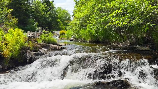 A small waterful on a river called Steady Waters, in Mount Pearl, Newfoundland and Labrdor