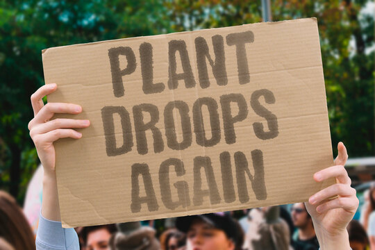 "Plant droops again" The leaves hang low, a reminder that you forgot to water it, once more. PLANT. WATER. DROOP. NEGLECT. GUILT.