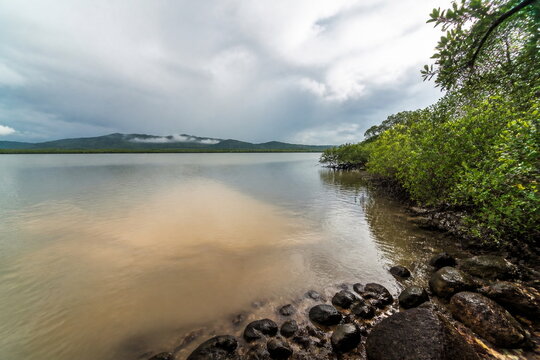 雨後の河口と濁り水の流入