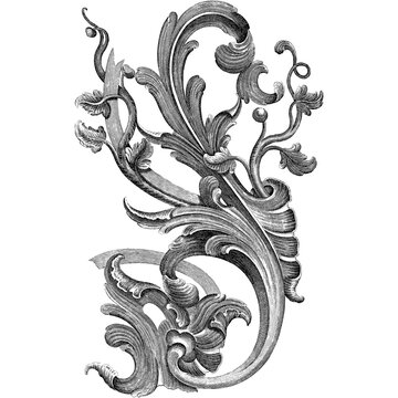Vintage ornate floral scroll design element in baroque engraving style, isolated on transparent background, PNG