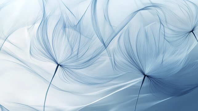 Delicate blue abstract of dandelion seed patterns in ethereal light