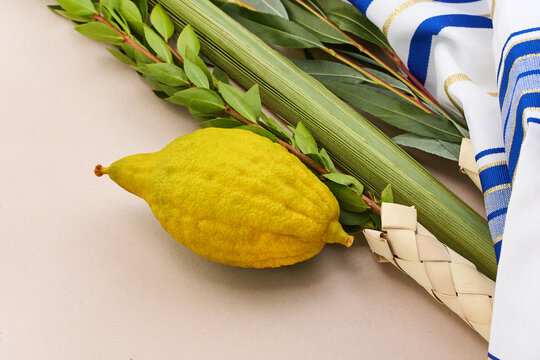 Sukkot four species with lulav etrog tallit