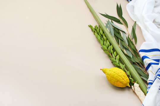 Sukkot lulav etrog tallit jewish holiday four species