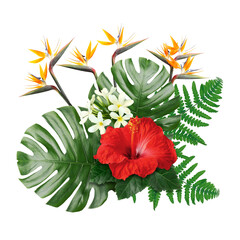 Hibiscus, strelitzia and plumeria flowers with green tropical leaves on white background © New Africa