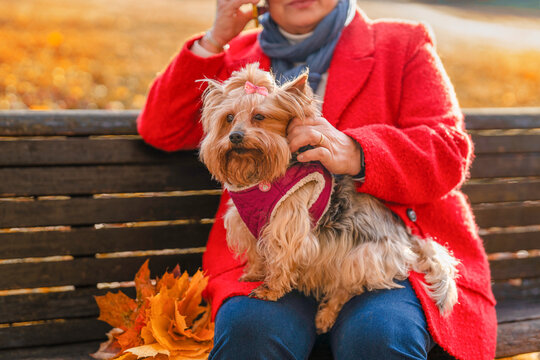 Woman sits on a bench with a small dog in a park during fall season