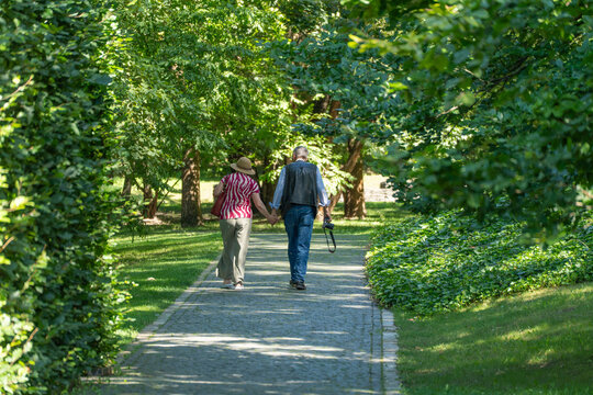 An elderly couple strolls hand in hand along a cobblestone path beneath a canopy of green trees. Dappled sunlight falls across the quiet park pathway.
