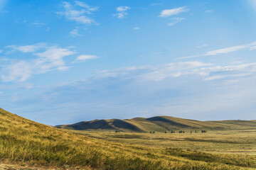Fototapeta premium Golden steppe hills under a vast blue sky with wispy clouds.