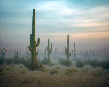 Cacti and succulent vegetation in foggy arid environment during sunrise. 3D render.