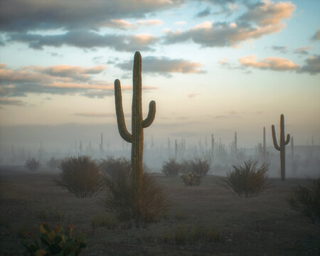Cacti and succulent vegetation in foggy arid environment during sunrise. 3D render.