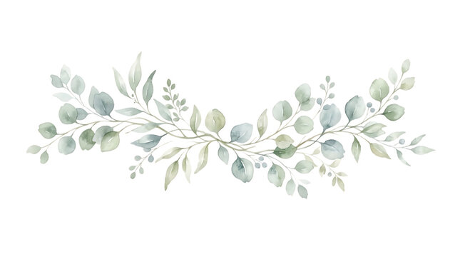 Decorative watercolor garland of eucalyptus leaves and branches, soft green foliage arrangement, isolated on a white background, botanical border isolated on a transparent background