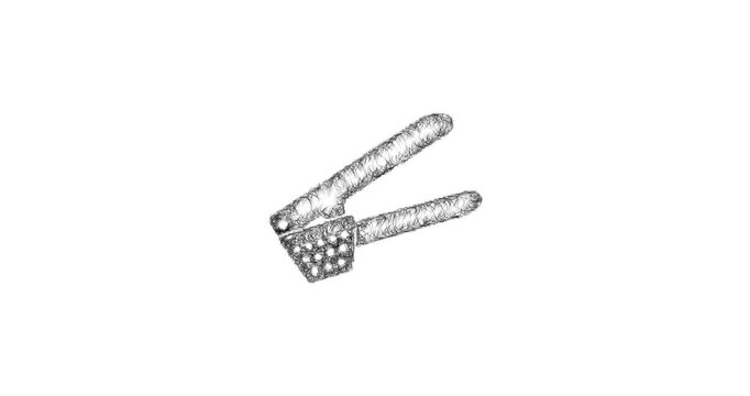 Sketch garlic press icon animation - smooth progressive reveal