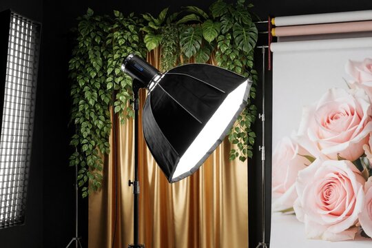 Photography studio setup with softbox light and backdrop. Lights, plants, and golden curtain create elegant scene for portrait or product shoots.