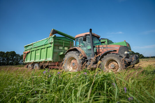 Case IH MX135 Tractor with Pronar T669 Grain Trailer During Harvest in Vecate, Latvia &ndash; August 10, 2026