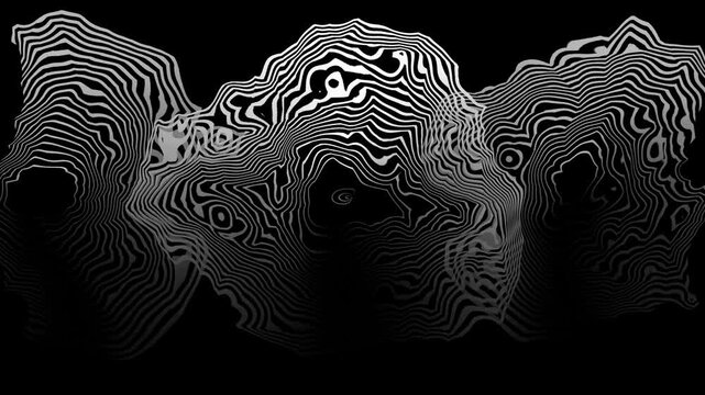 Abstract Black And White Distortion Motion Graphic
