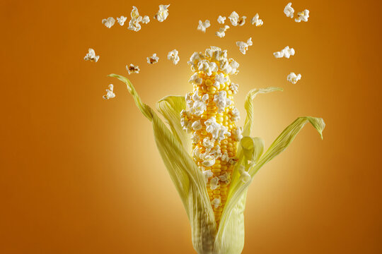 Popcorn Exploding From Fresh Corn Cob On Vibrant Orange Backdrop