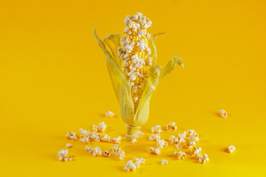 Popcorn Growing On Corn Cob Creative Food Concept On Yellow