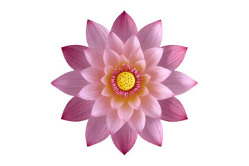 Obraz premium Purple pink lotus flower top view isolated