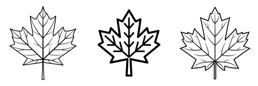 Set of Canadian maple leaf on transparent png background. Ai generated