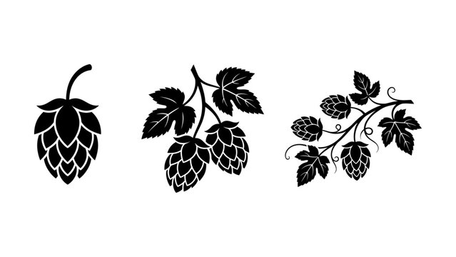 Black hop cones and leaves vector illustration