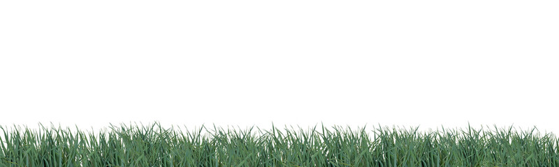 Fototapeta premium A crisp horizontal border of fresh green spring grass element cutout PNG on transparent background. Ideal for nature, ecology, garden, or summer design projects and overlays.