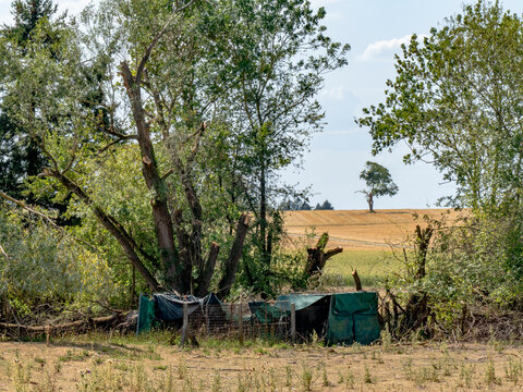 Starke Sturmsch&auml;den an B&auml;umen