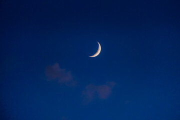 The moon in the evening sky © Ivan_Gatsenko