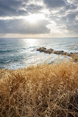 Seascape with rocky coast and dry grass in Paphos, Cyprus © marcinsl1987