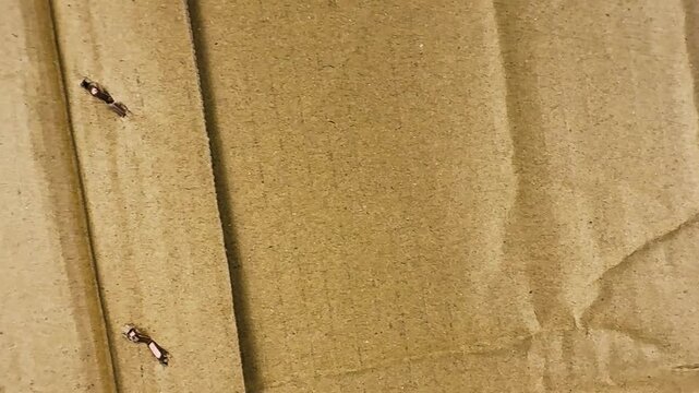 Closeup of a textured brown cardboard surface