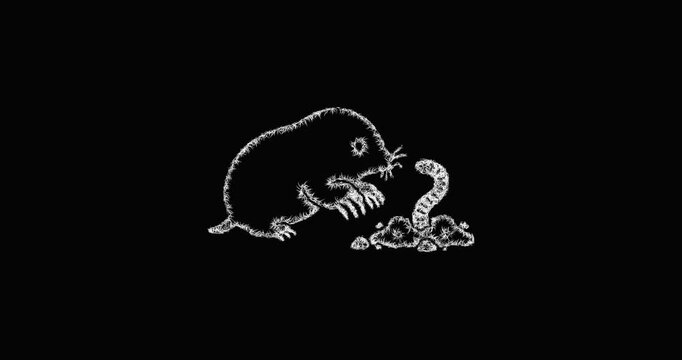 Sketch mole and earthworm icon animation - smooth progressive reveal