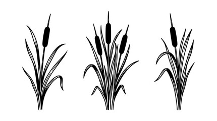 Fototapeta premium Cattails in a Linear Arrangement with Three Clusters of Tall Grass in a Minimalist Black and White Line Art Style
