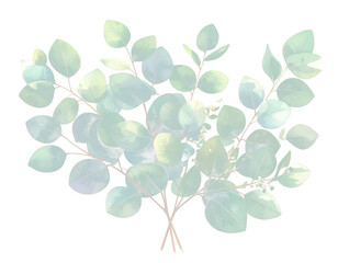 Obraz premium A delicate watercolor style botanical illustration of a hand p d73c64bde031