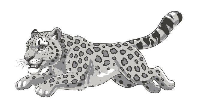 Majestic snow leopard illustration featuring dynamic running pose with detailed spotted fur pattern in clean grayscale vector art style design