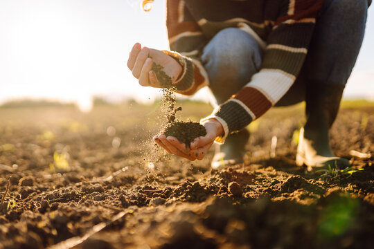 Close-up of female farmer checking the soil quality in a field. An agronomist works in the field before sowing at sunset. Concepts of farming and ecology.