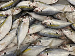 Obraz premium frsh fish on market stall