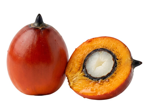 Fresh palm oil fruit with half cut isolated on white background