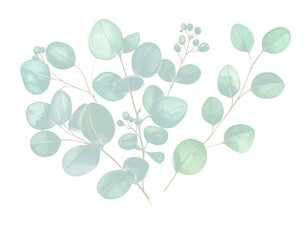 Obraz premium A watercolor illustration of a delicate eucalyptus bouquet wit 7816a5adf504