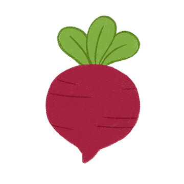 Simple illuatration of beetroot with crayon mode on transparent backgound