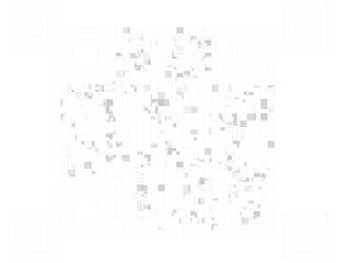 Obraz premium A clean, high resolution vector style icon of a standard QR co f6420927427c