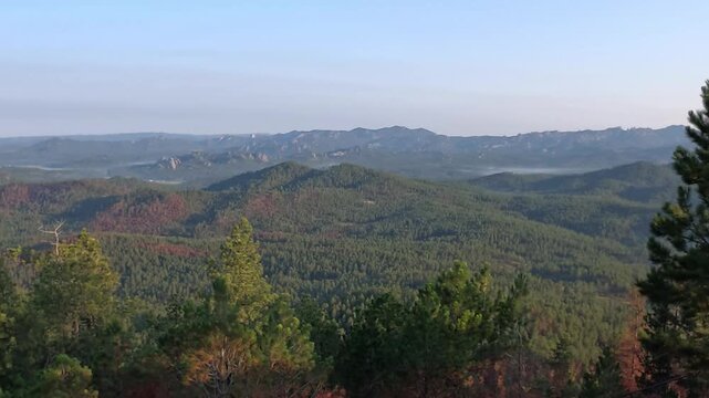 Black hills of South Dakota providing scenic driving on winding roads surrounded by Ponderosa Pines, view from a fire tower.